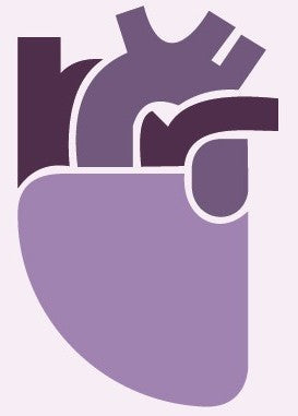 Soporte Vital Básico (SVB): Curso de Reanimación Cardiopulmonar y RCP